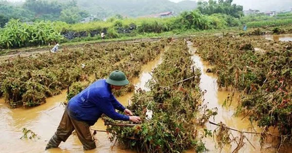 Điều kiện được hỗ trợ sản xuất nông nghiệp để khôi phục sản xuất vùng bị thiệt hại do thiên tai?